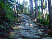 Stone paths of Magose Toge trail